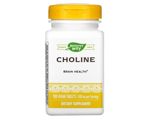 Холін Nature's Way (Choline) 500 мг 100 таблеток Холін Nature's Way (Choline) 500 мг 100 таблеток