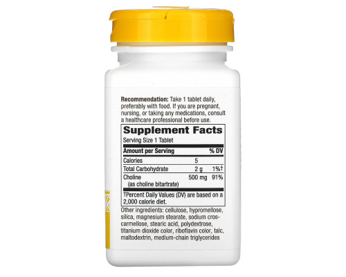 Холин Nature's Way (Choline) 500 мг 100 таблеток